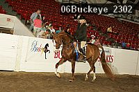 06buckeye_2302 proof