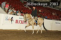 06buckeye_2303 proof