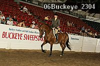 06buckeye_2304 proof