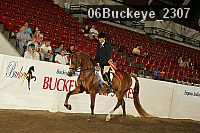 06buckeye_2307 proof