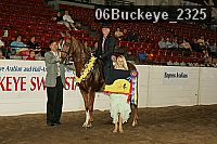 06buckeye_2325 proof