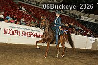 06buckeye_2326 proof