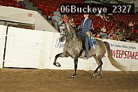 06buckeye_2327 proof