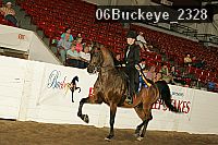 06buckeye_2328 proof