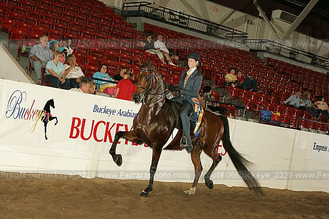 Proof 06buckeye_2329