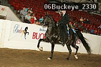 06buckeye_2330 proof
