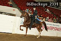 06buckeye_2331 proof