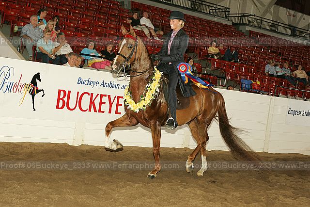 Proof 06buckeye_2333