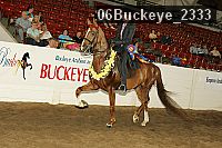 06buckeye_2333 proof
