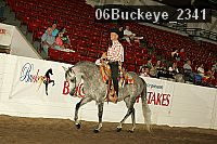 06buckeye_2341 proof