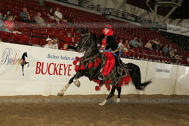 Proof 06buckeye_2350
