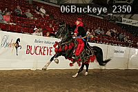 06buckeye_2350 proof