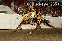 06buckeye_2353 proof