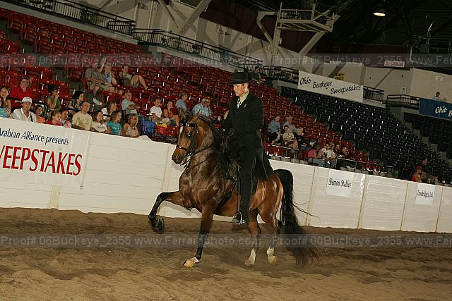 Proof 06buckeye_2355
