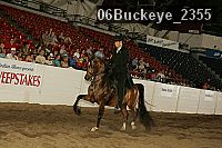 06buckeye_2355 proof