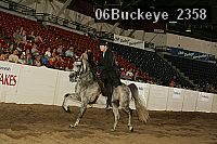 06buckeye_2358 proof