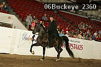 06buckeye_2360 proof