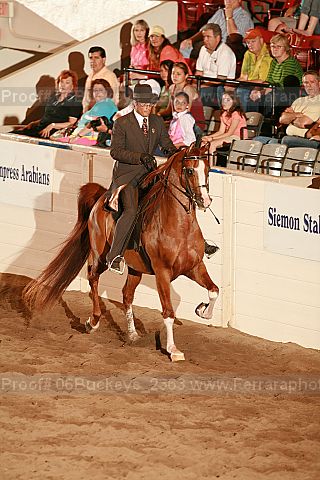 Proof 06buckeye_2363