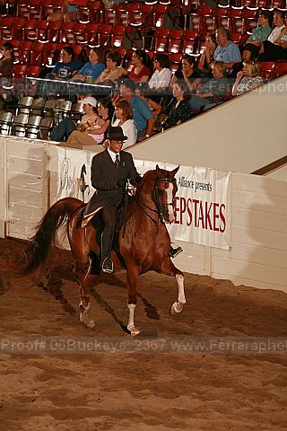 Proof 06buckeye_2367