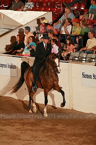 Proof 06buckeye_2371