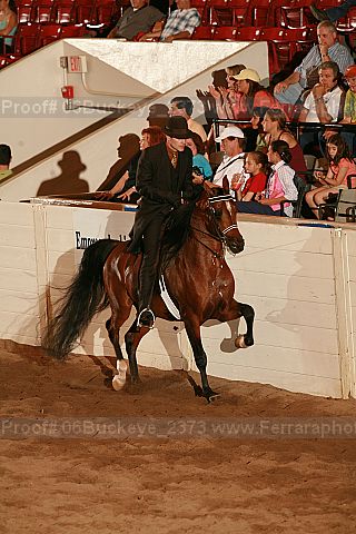 Proof 06buckeye_2373