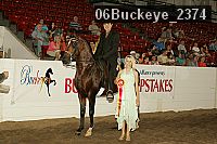 06buckeye_2374 proof