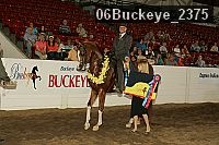 06buckeye_2375 proof