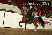 06buckeye_2377 proof