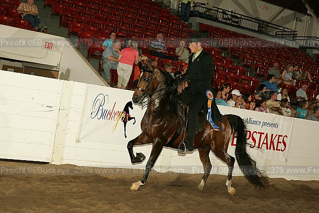 Proof 06buckeye_2379