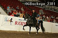06buckeye_2381 proof