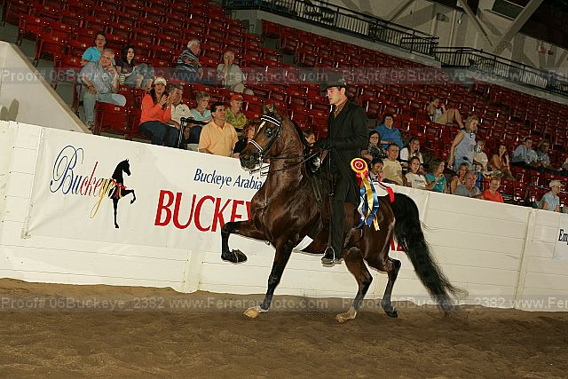 Proof 06buckeye_2382