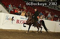 06buckeye_2382 proof