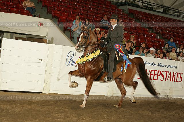 Proof 06buckeye_2383