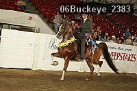 06buckeye_2383 proof