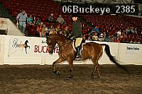06buckeye_2385 proof