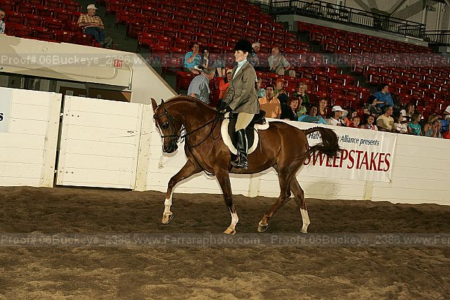 Proof 06buckeye_2386