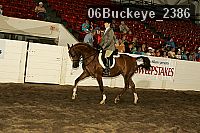 06buckeye_2386 proof