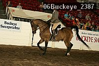06buckeye_2387 proof