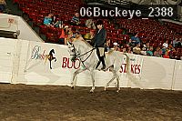 06buckeye_2388 proof