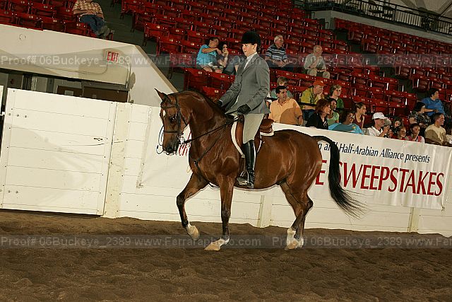Proof 06buckeye_2389