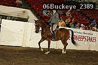 06buckeye_2389 proof