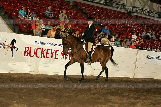 Proof 06buckeye_2390
