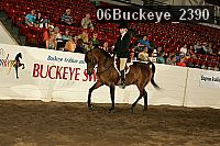 06buckeye_2390 proof