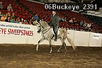 06buckeye_2391 proof