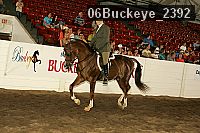 06buckeye_2392 proof