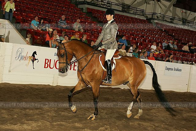 Proof 06buckeye_2393