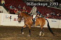 06buckeye_2393 proof