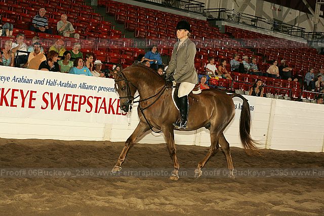 Proof 06buckeye_2395
