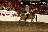 06buckeye_2395 proof