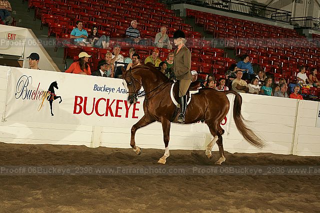 Proof 06buckeye_2396